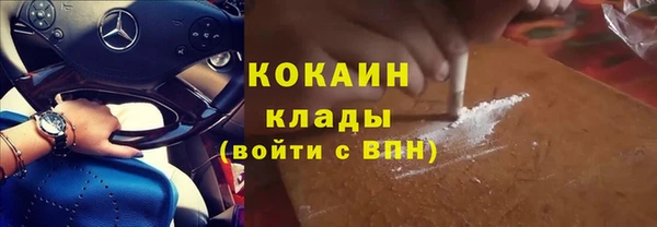 сатива Осташков